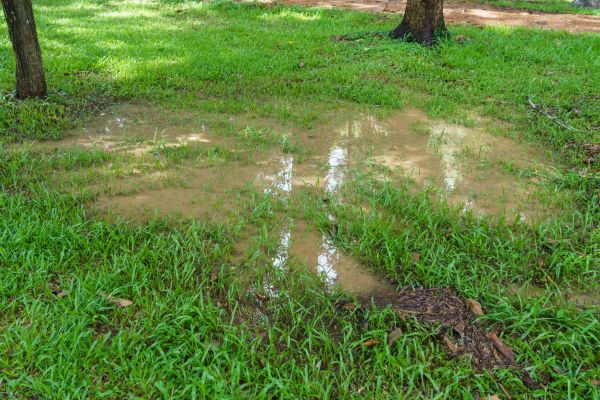 Storm Water Drainage Service in Sterling