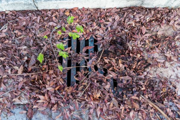 Yard Drain Unclogging in Sterling