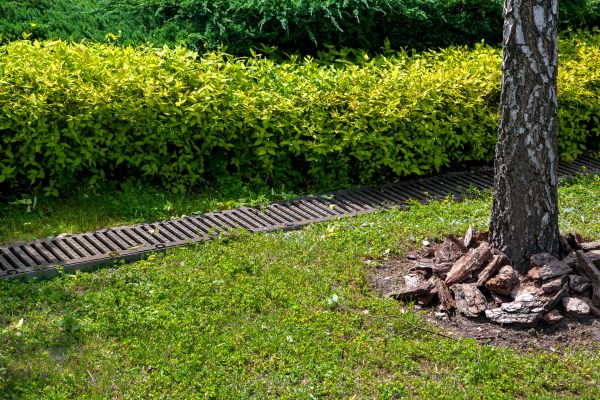 Residential Landscape Drainage in Sterling