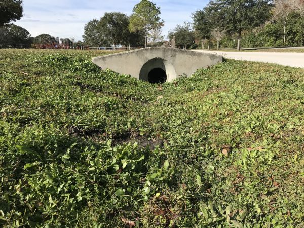 Cost of Swale Drainage Service in Sterling
