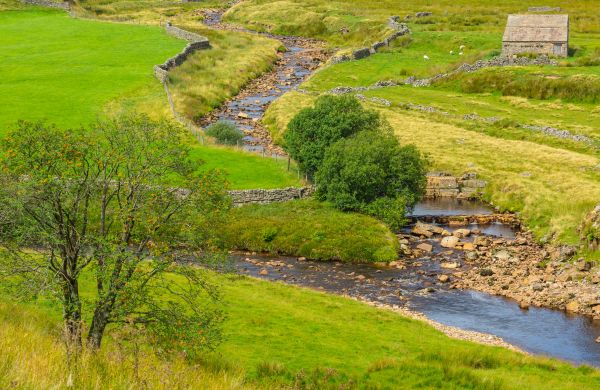 Swale Repair in Sterling